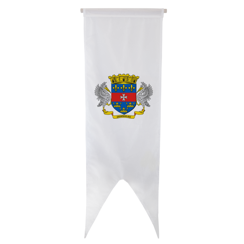 Oriflamme Armoiries Saint-Barthélemy