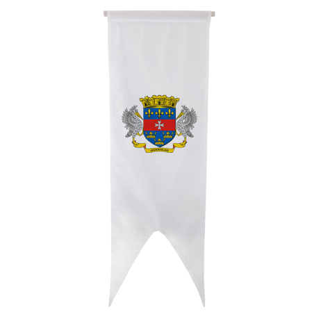 Oriflamme Armoiries Saint-Barthélemy