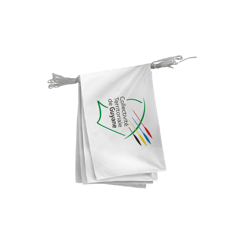 Guirlande Collectivité de Guyane