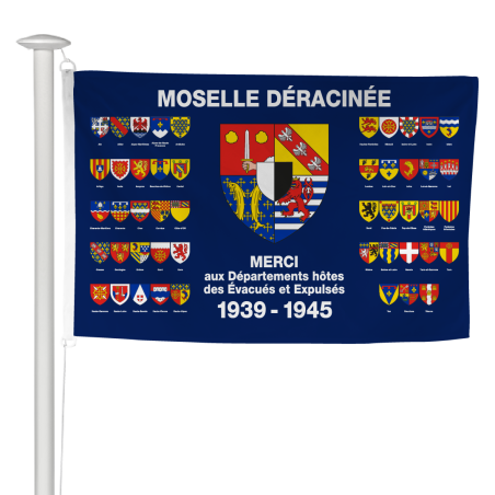 Pavillon Moselle Déracinée