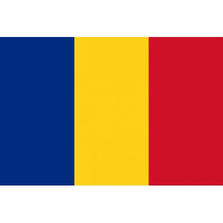 Drapeaux Roumanie à agiter 9.5 x 16 cm - Lot de 100