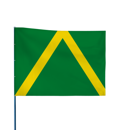 Drapeau de Karting vert à chevron jaune