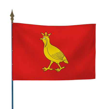 Drapeau province Aunis 