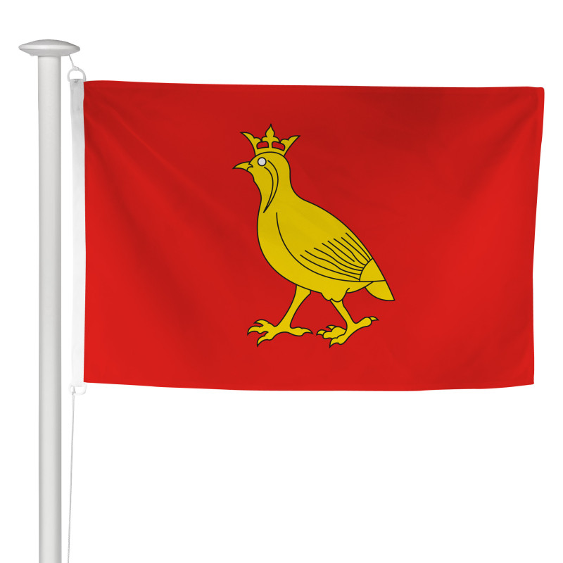 Pavillon province Aunis