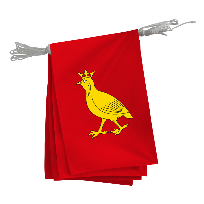 Guirlande province Aunis