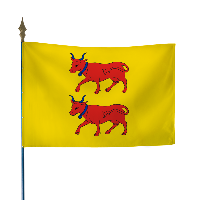 Drapeau province Béarn 