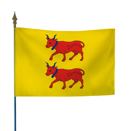 Drapeau province Béarn 