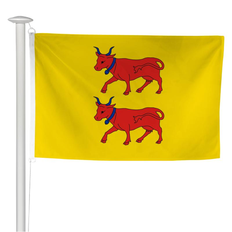 Pavillon province Béarn