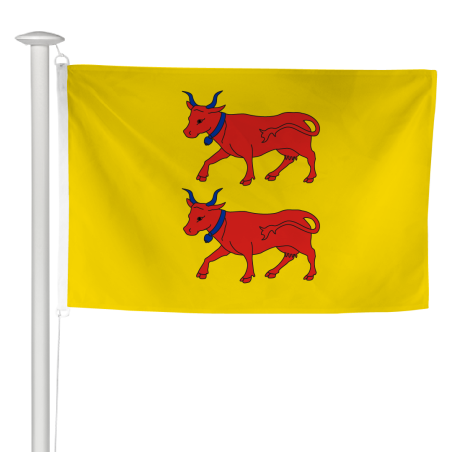 Pavillon province Béarn