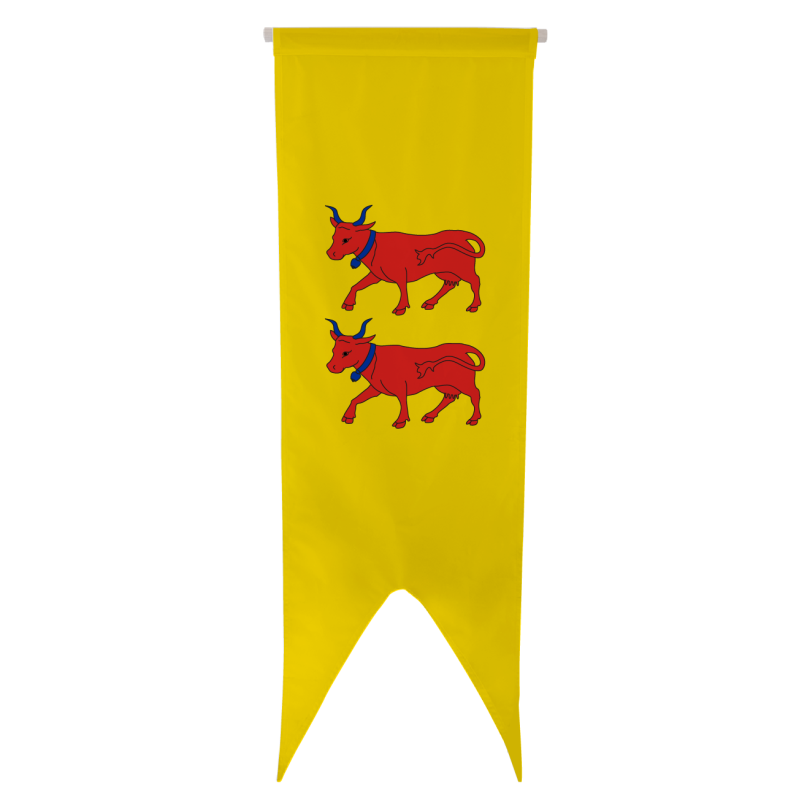 Oriflamme province Béarn