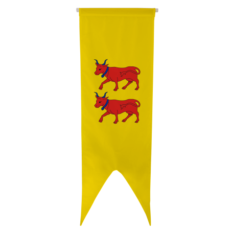 Oriflamme province Béarn