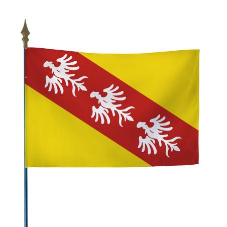 Drapeau province Lorraine 