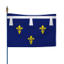 Drapeau province Orléanais