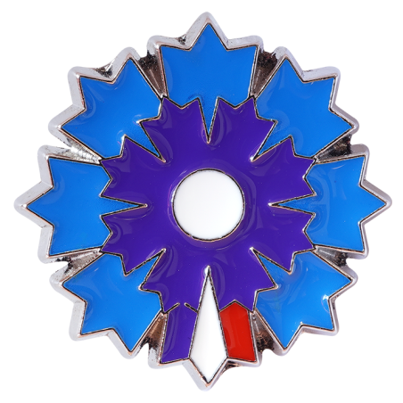 Pin's Argenté Bleuet De France - Pétale Tricolore