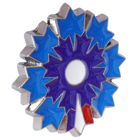 Pin's Argenté Bleuet De France - Pétale Tricolore