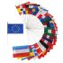 LOT Drapeaux de table des pays membres Européens sur socle - Bouquet 