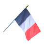Drapeau France sur hampe