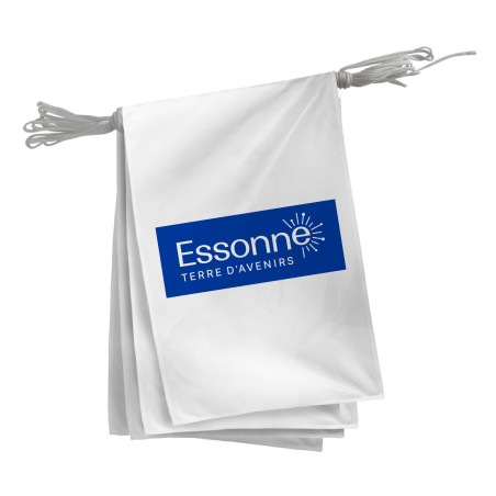 Guirlande du Conseil Départemental de l'Essonne