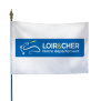 Drapeau du Conseil Départemental du Loir-et-Cher