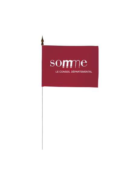 Drapeau de table du Conseil Départemental de la Somme 10x15 cm