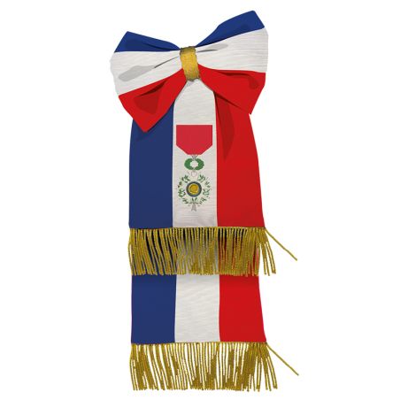Cravate tricolore brodée