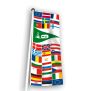 Pavois de camping 200x60 cm