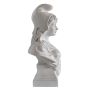 Buste de Marianne en résine - hauteur 24 cm