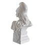 Buste de Marianne en résine - hauteur 24 cm