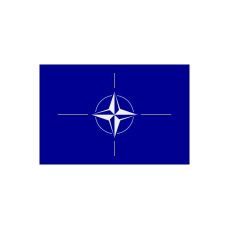 Drapeau de table OTAN 10 x 15 cm - Lot de 50