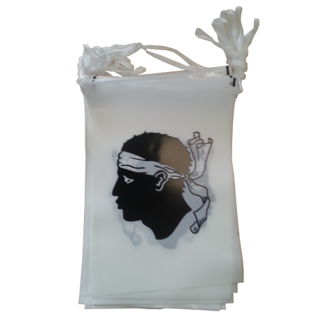 Guirlande Corse en plastique 10 m