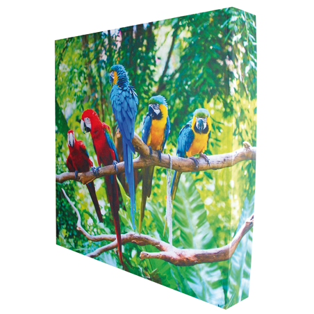 Stand parapluie Evolution 3x3m