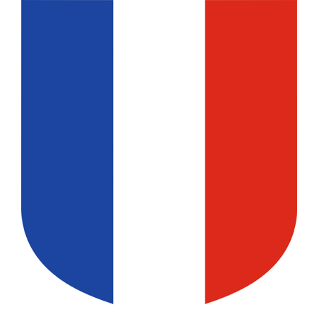 Ecusson porte-drapeaux Tricolore - Gamme premium