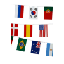 Guirlande Aléatoire Pays du Monde 10 mètres
