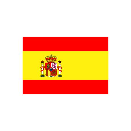 Drapeaux Espagne à agiter 9.5 x 16 cm - Lot de 100