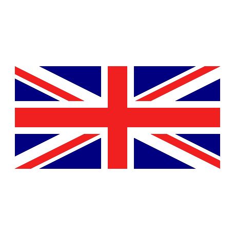 Lot de 100 drapeaux de table Royaume-Uni en plastique
