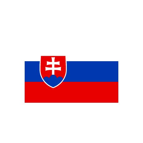 Drapeaux Slovaquie à agiter 9.5 x 16 cm - Lot de 100