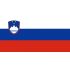 Drapeaux Slovénie à agiter 9.5 x 16 cm - Lot de 100