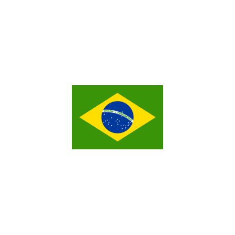 Lot de 100 drapeaux de table Brésil en plastique