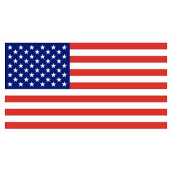 Lot de 100 drapeaux de table U.S.A. en plastique