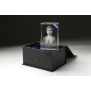Buste de Marianne dans bloc en verre optique CASTA