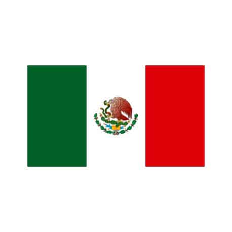 Lot de 100 drapeaux de table Mexique en plastique