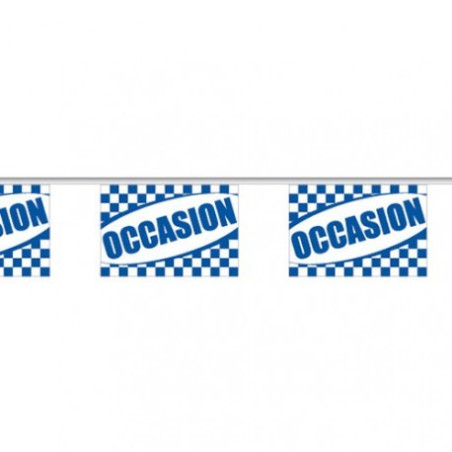 Guirlande Occasion 10 mètres Bleu et blanc