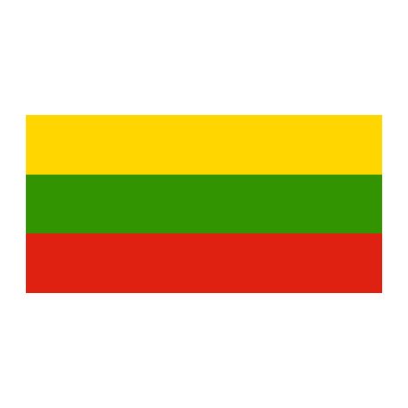 Drapeaux 14x21 Lituanie à agiter