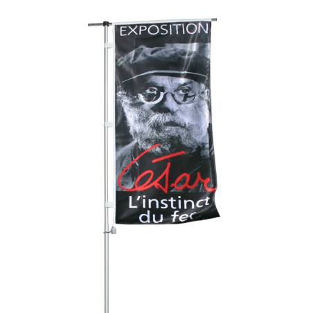 Mât téléscopique avec Potence