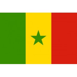 Drapeaux 14x21 Sénégal à agiter