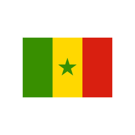 Drapeaux 14x21 Sénégal à agiter