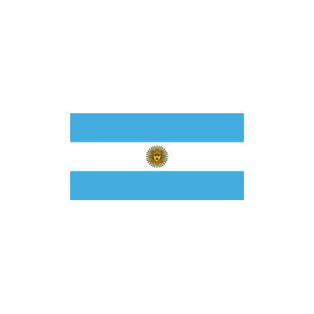 Drapeaux 14x21 Argentine à agiter