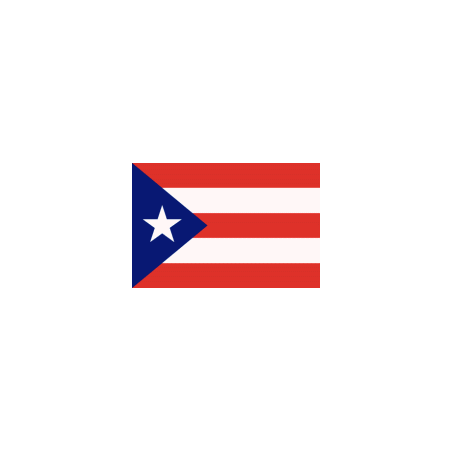Drapeaux 14x21 Porto Rico à agiter