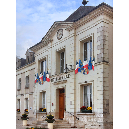 Ecusson porte-drapeaux tricolore RF