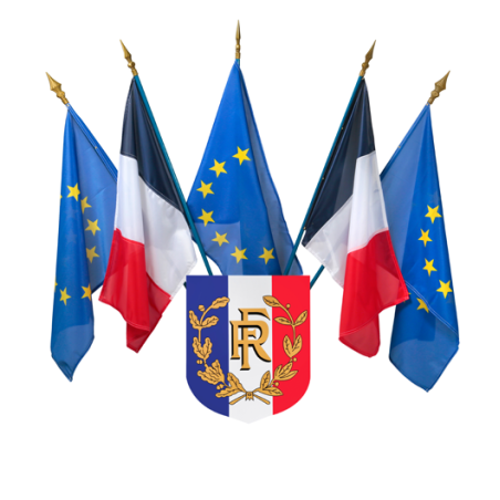 Ecusson porte-drapeaux tricolore RF et Palmes